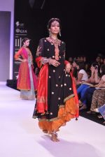 Model walk the ramp for Adora on Day 4 of IIJW 2013 on 7th Aug 2013 (33).JPG